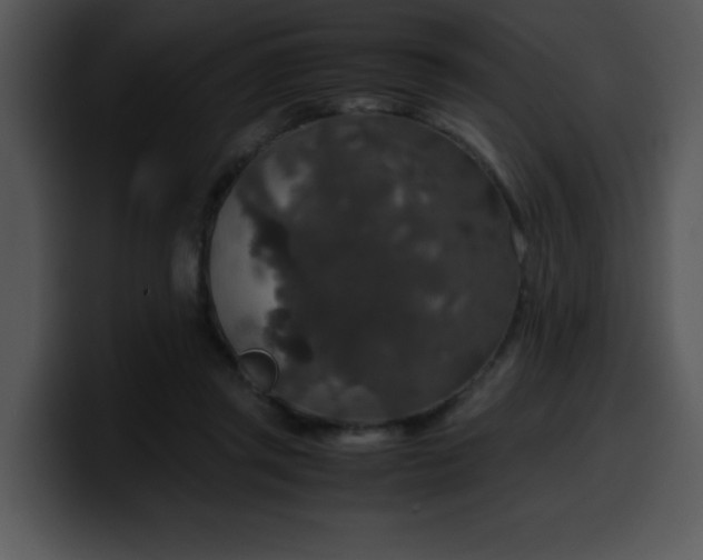 X0000099990357200806061549