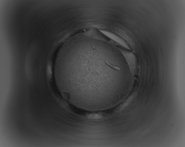 X0000099990358200806061549