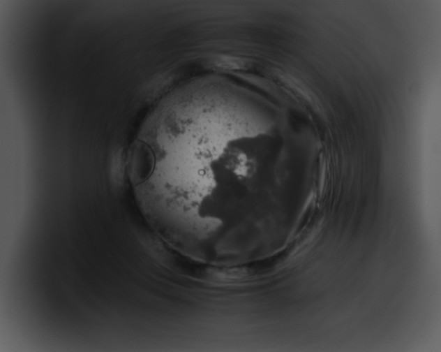 X0000099990359200806061549