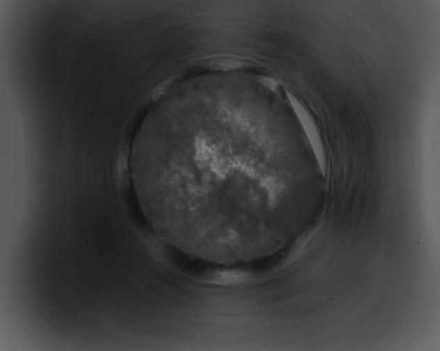 X0000099990360200806061549