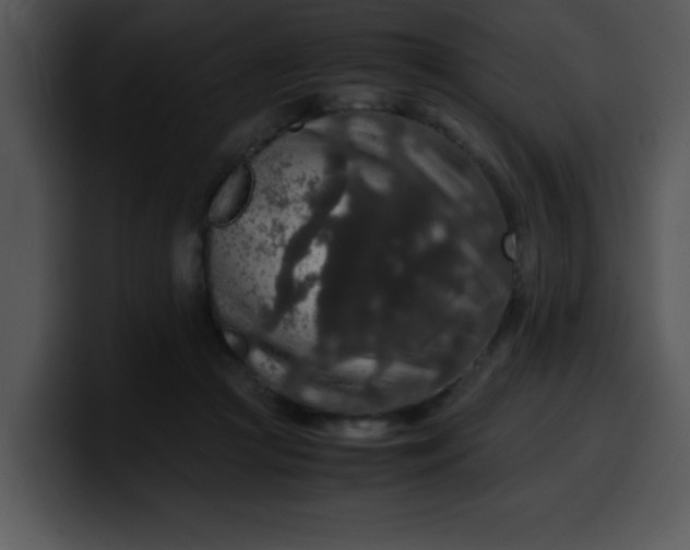 X0000099990361200806061549