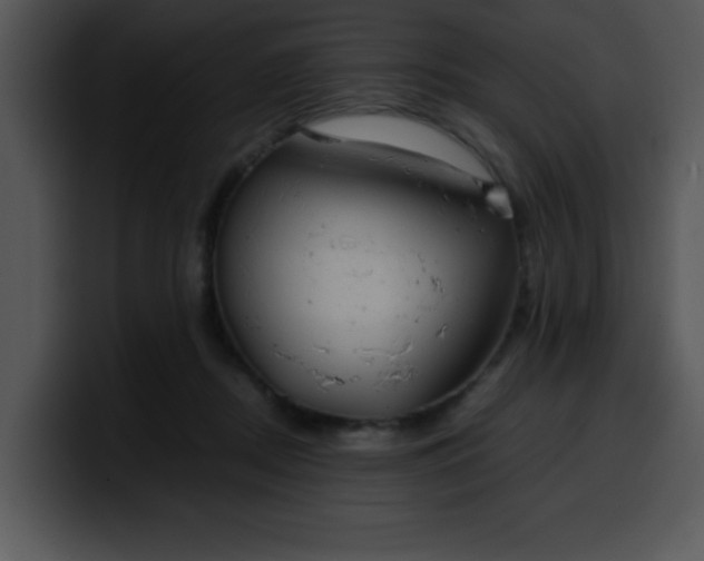 X0000099990362200806061549