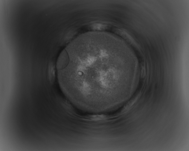 X0000099990363200806061549