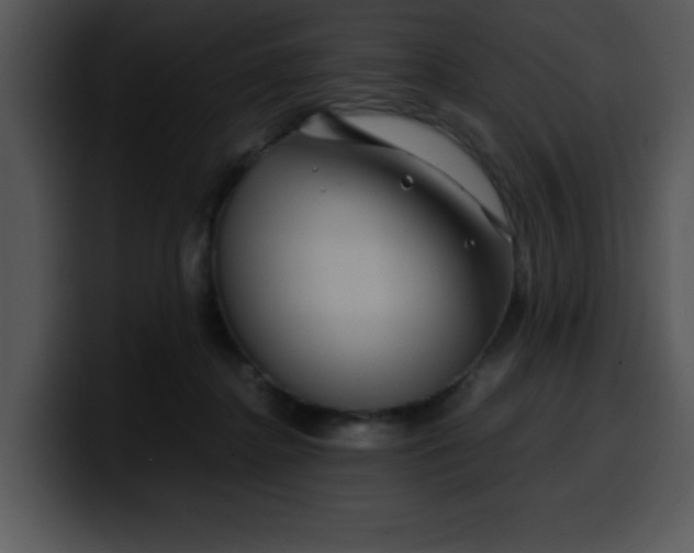 X0000099990364200806061549