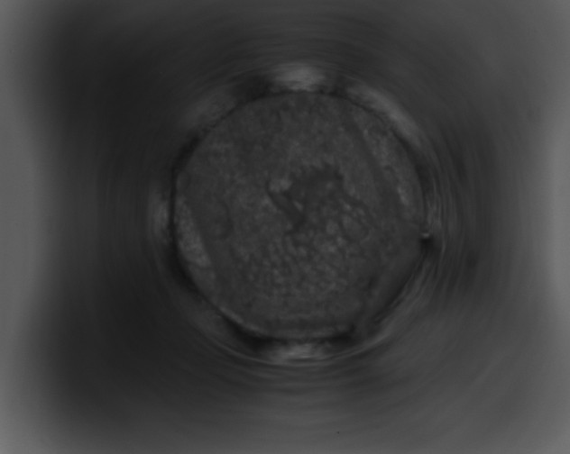 X0000099990365200806061549