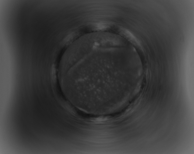 X0000099990366200806061549