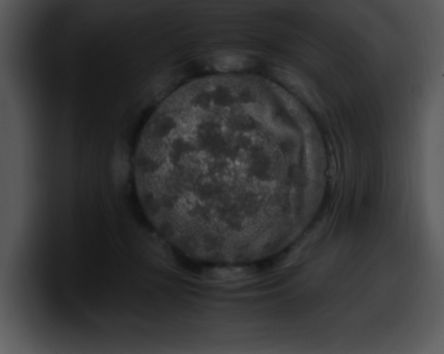 X0000099990367200806061549