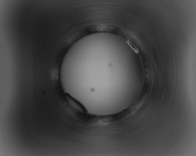 X0000099990368200806061549