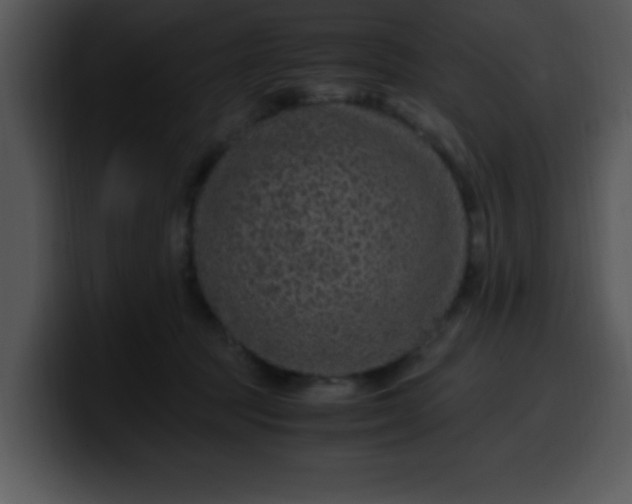 X0000099990369200806061549