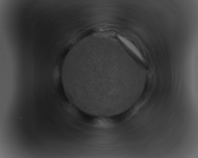 X0000099990372200806061549