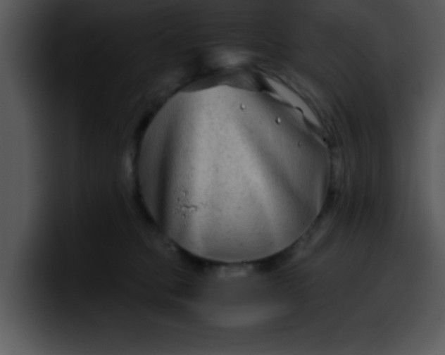 X0000099990373200806061549