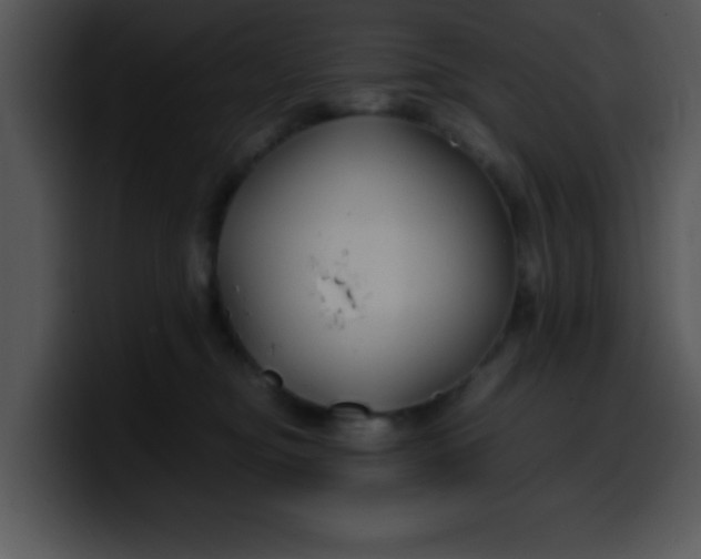 X0000099990374200806061549