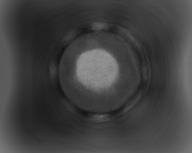 X0000099990375200806061549