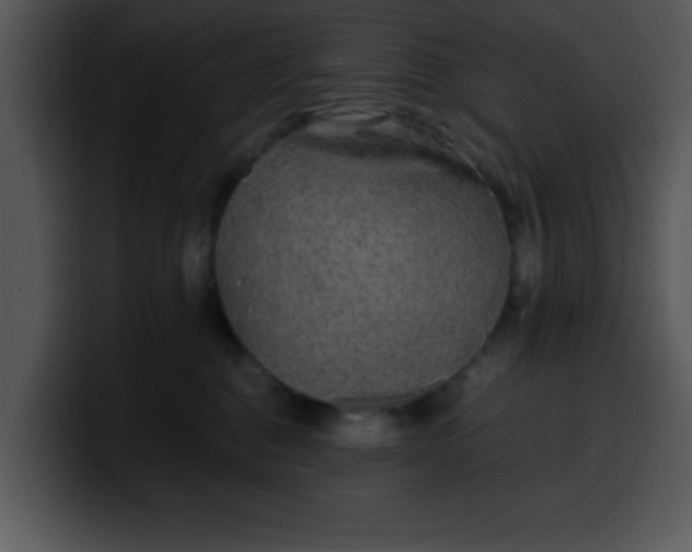 X0000099990376200806061549