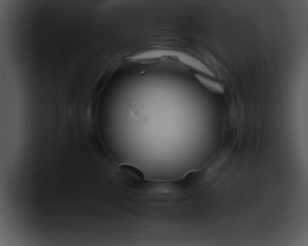 X0000099990377200806061549