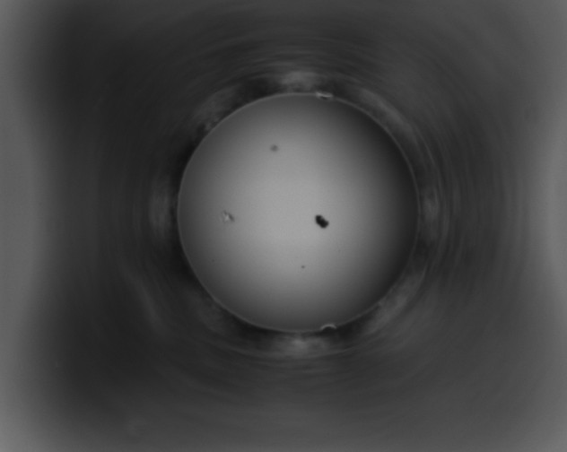 X0000099990379200806061549