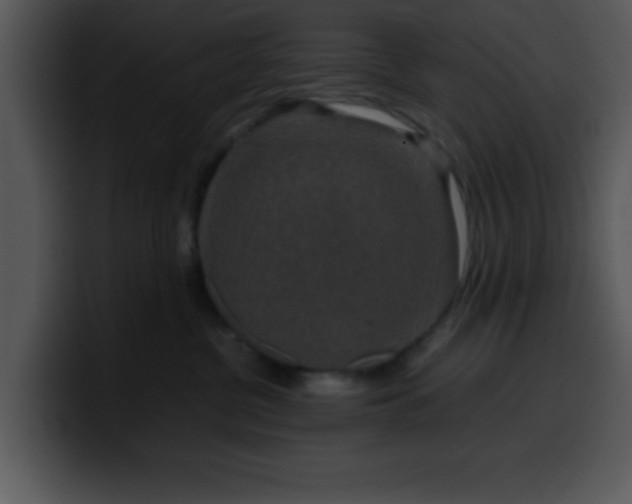 X0000099990380200806061549