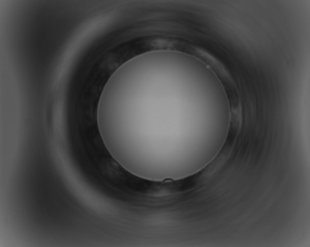 X0000099990381200806061549