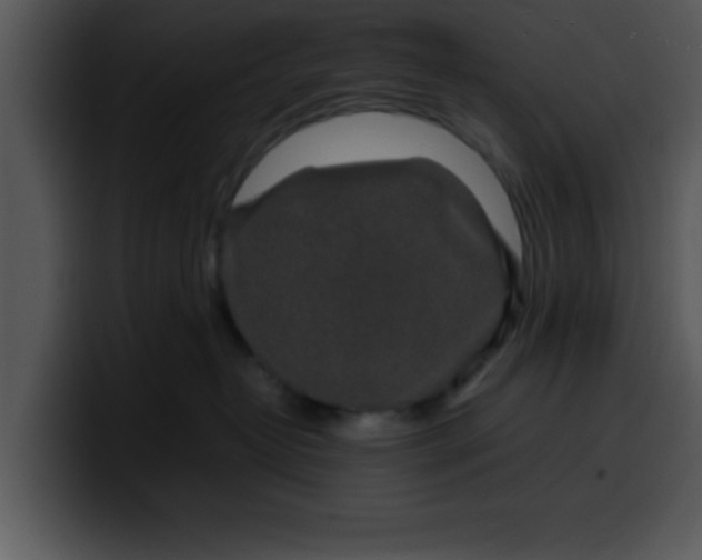 X0000099990382200806061549