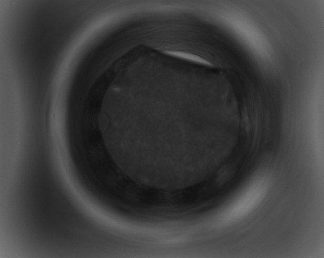 X0000099990383200806061549