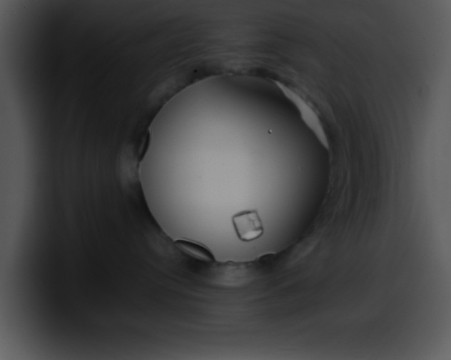 X0000099990384200806061549