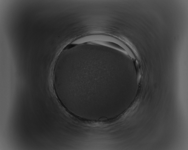 X0000099990385200806061549