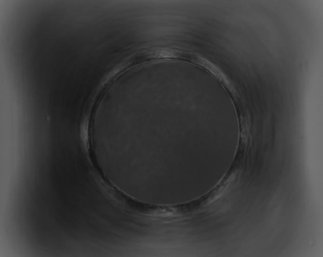 X0000099990386200806061549