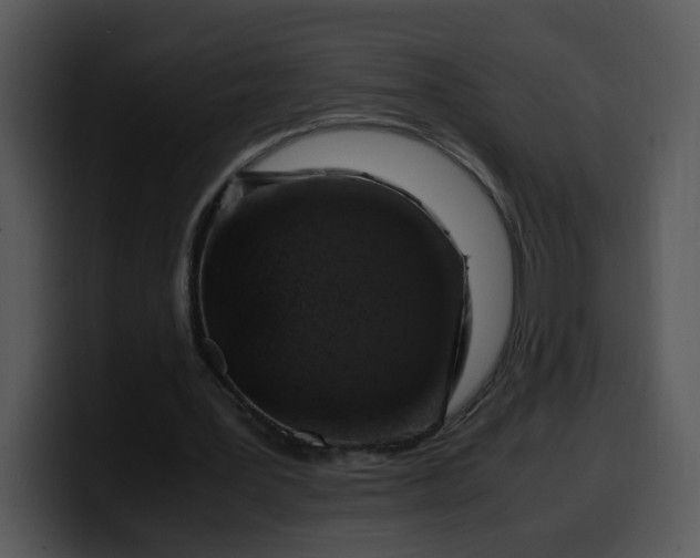 X0000099990387200806061549