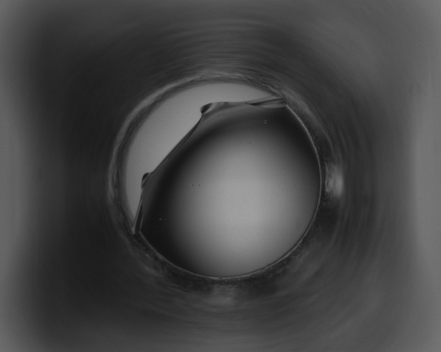 X0000099990388200806061549