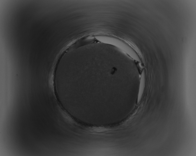 X0000099990389200806061549