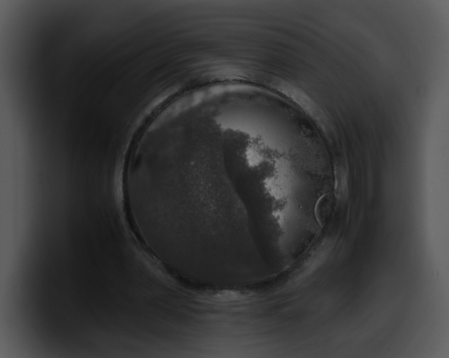 X0000099990390200806061549