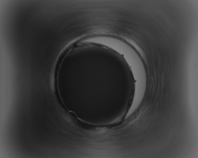 X0000099990391200806061548