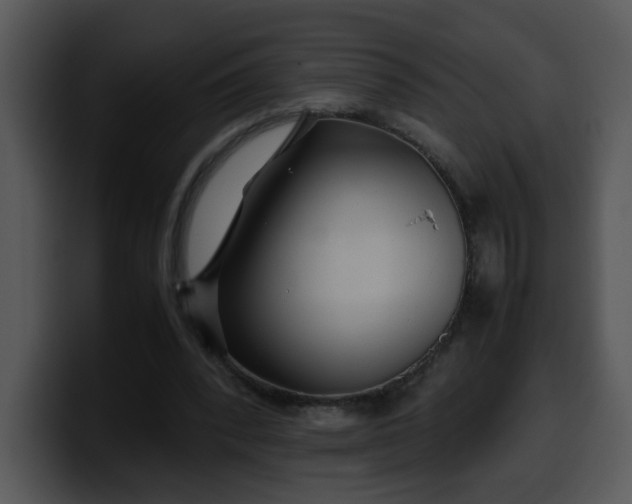 X0000099990392200806061548