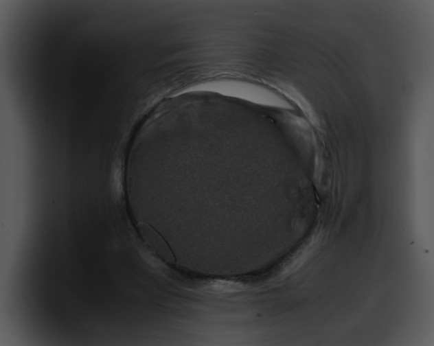 X0000099990393200806061548