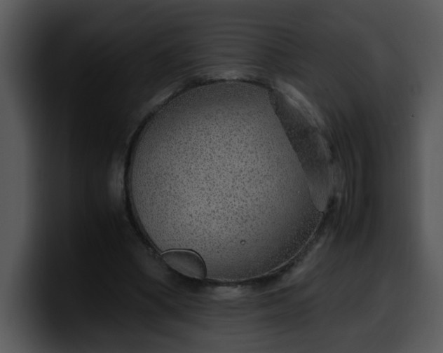 X0000099990394200806061548