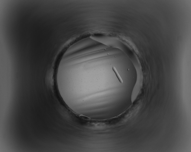 X0000099990395200806061548