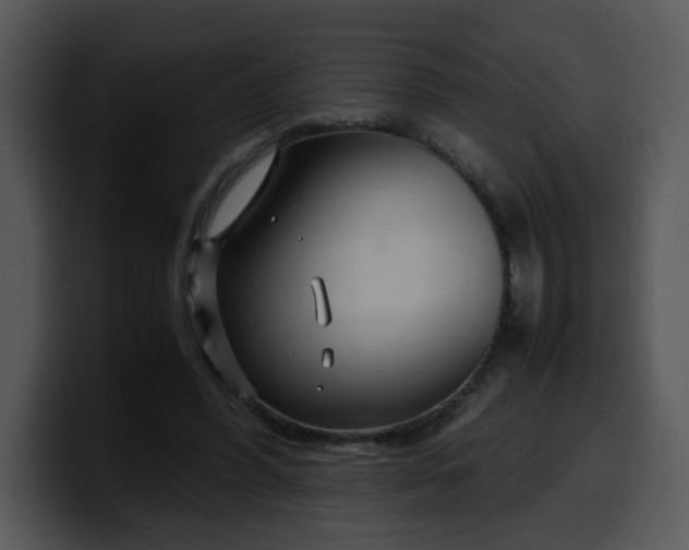 X0000099990396200806061548