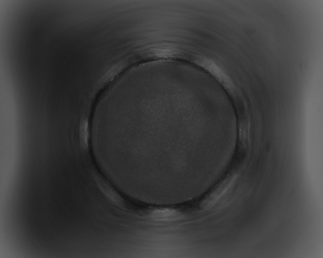 X0000099990397200806061548