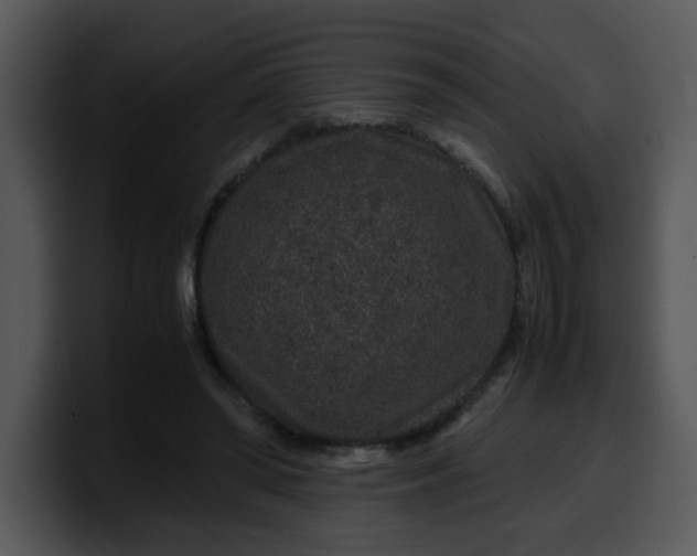 X0000099990398200806061548