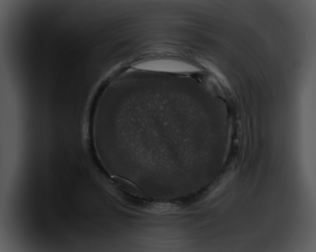 X0000099990399200806061548