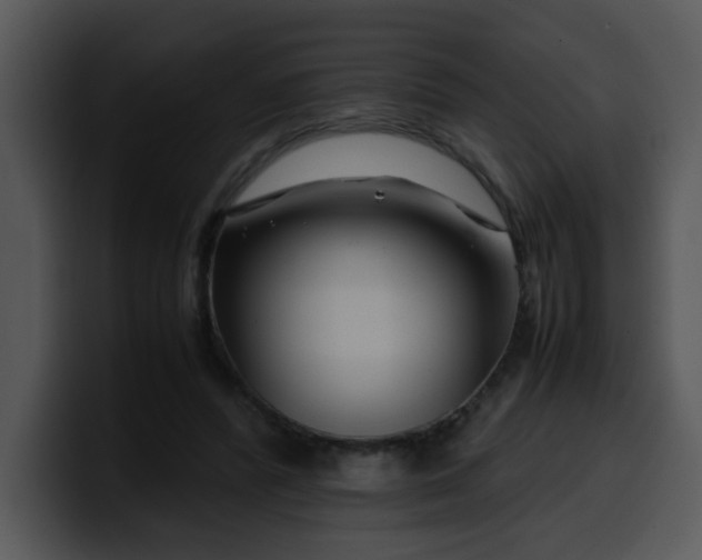 X0000099990400200806061548