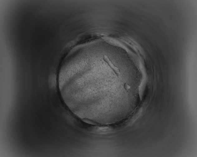 X0000099990401200806061548