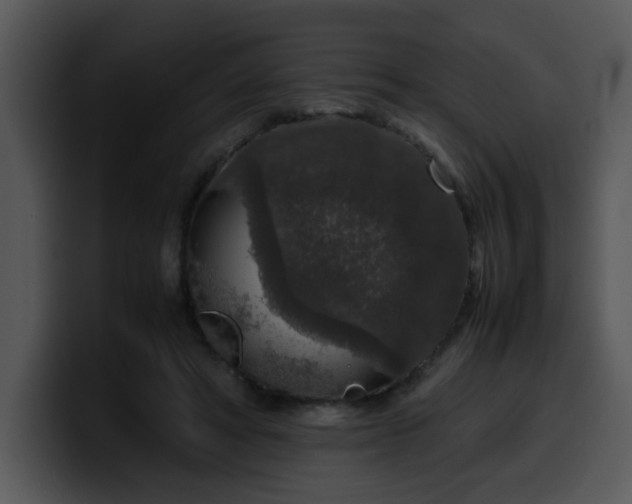 X0000099990402200806061548