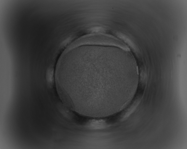 X0000099990403200806061548