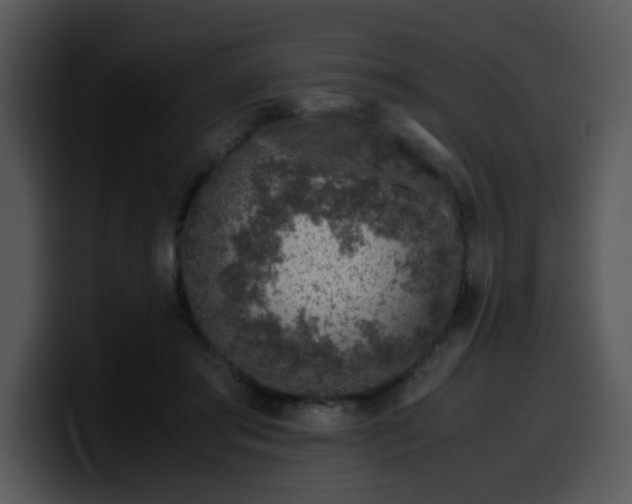 X0000099990405200806061548