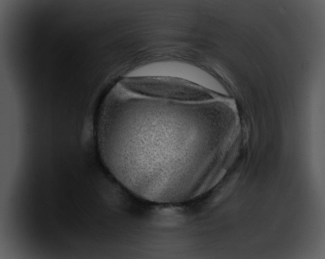 X0000099990407200806061548