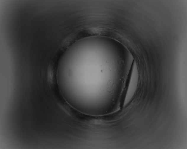 X0000099990408200806061548