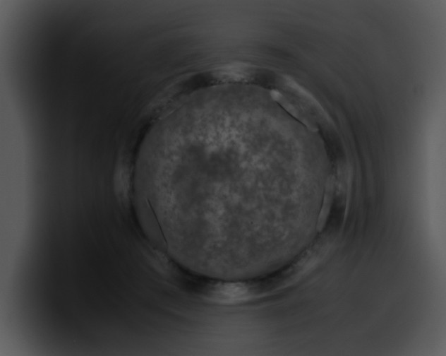 X0000099990409200806061548