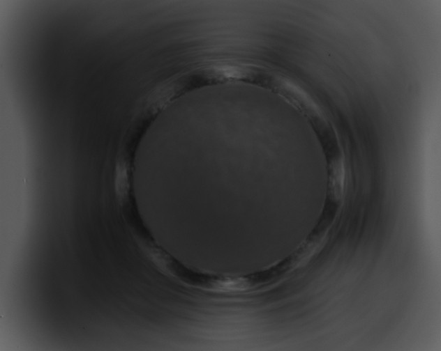 X0000099990410200806061548