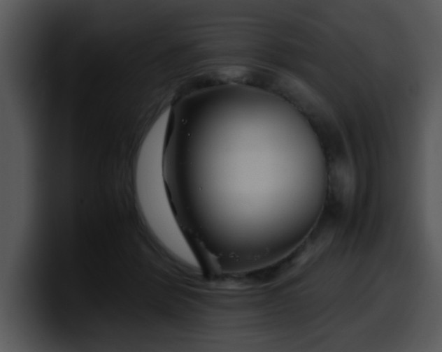 X0000099990412200806061548